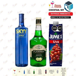 Vodka Skyy Infusions Raspberry - 750 ml - Cavas Towns Vodka Skyy Infusions Raspberry - 750 ml - Cavas Towns