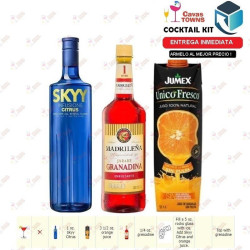 Vodka Skyy Infusions Raspberry - 750 ml - Cavas Towns Vodka Skyy Infusions Raspberry - 750 ml - Cavas Towns